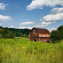 Eco przyjazny, przyjazny dla ludzi My w Wood s wierzymy, że należy oczyszczać powietrze nie tylko w naszych czasach, musimy mieć także pewność utrzymywania możliwie czystego powietrza dla przyszłych