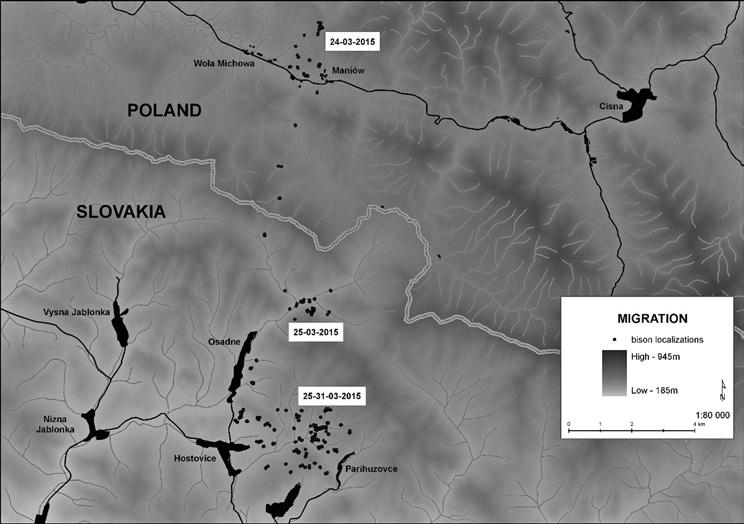 32 Movements and habitat use of wisents in intensively managed rural landscape of Slovak Carpathians area (Graczyk 1987; Balčiauskas 2004; Treboganova 2012; Krasińska et al. 2014; Anisimava et al.