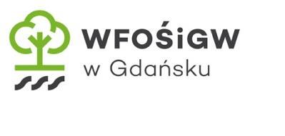 Załącznik 6.1a i 6.1b Informacje niezbędne do ubiegania się o pomoc de minimis i/lub Załącznik 6.