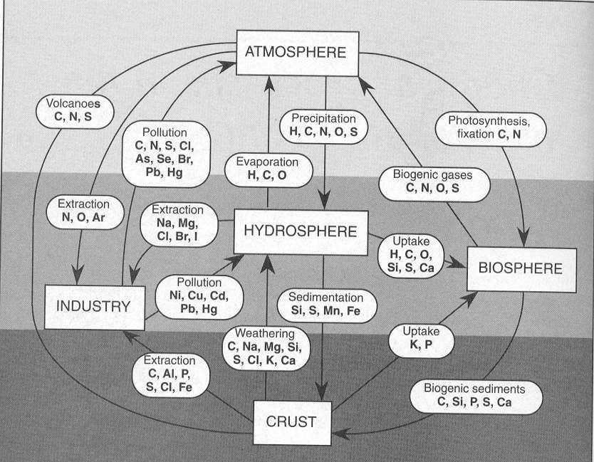 antropogeniczne abiotyczne biotyczne