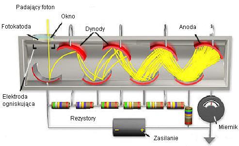 w stronę fotokatody. Scyntylator jest dołączony do fotopowielacza tak, aby w fotokatodę mogła trafiać maksymalna liczba fotonów. Fotokatoda wykonana jest najczęściej ze związków antymonu (np.