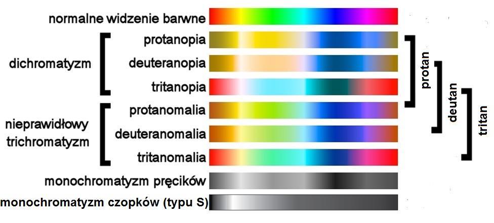 KILKA SŁÓW O