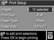 4 Po podł czeniu aparatu do drukarki pojawi si menu Print Setup (Ustawienia druku). Je eli ju wybrane zostały zdj cia do wydrukowania za pomoc menu HP Instant Share, pojawi si ich liczba.