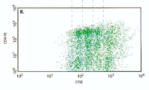 Analiza proliferacji G3