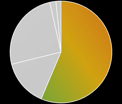 NAWOZY - AGRO PRZYCHODY 2013: 57% PRODUCENT SZEROKIE PORTFOLIO NAWOZÓW AS MO- CZNIK AN CAN ASN RSM AP/NP K/ MIX 2014: 55% ZDOLNOŚCI PRODUKCYJNE (STYCZEŃ 2014) YARA (GK) Grupa Azoty (GK) Borealis (GK)