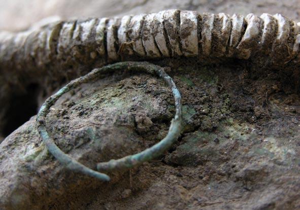 Fig. 9. Close-up view of the earing on the skull from grave 1 MC Ryc. 9. Zbliżenie zausznicy na czaszce z grobu 1 KM Fig.