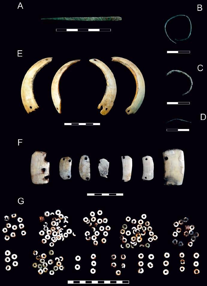 Fig. 14. Grave 1 MC: A copper plate, B copper earring, C broken copper earring, D copper wire, E pendants from boar tusk, F pendants from part of boar tusk, G beads from mussels (photo by S.