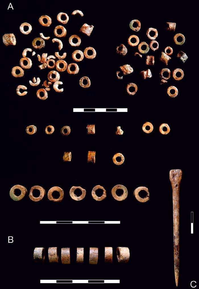 Fig. 15. Grave 1 MC: A bone beads, B bone beads details, C bone pin (photo by S. Wilk) Ryc.