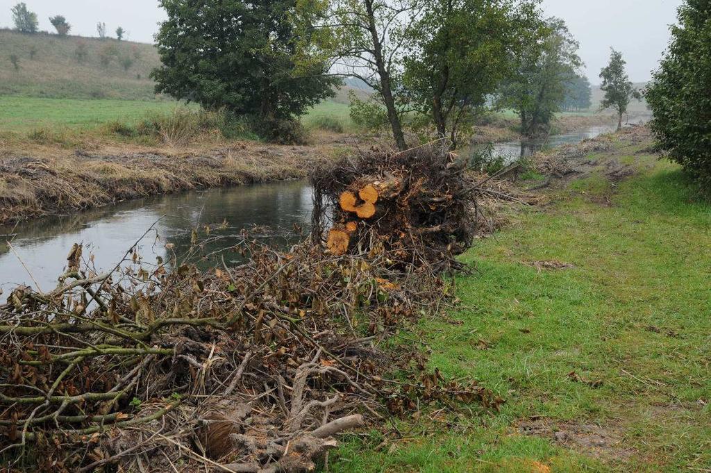 dostarczone Klubowi Przyrodników, październik 2015 r. Fot. 6.