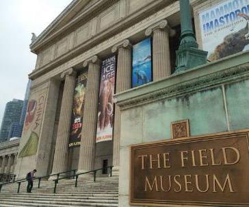 Pod względem powierzchni jest drugim muzeum sztuki w USA po Metropolitan Museum of Art w Nowym Jorku.