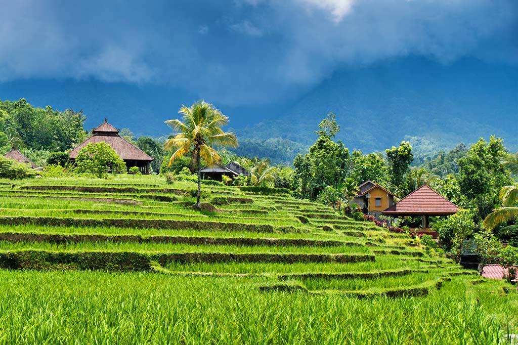 Egzotyczne Bali Indonezyjska wyspa Bali jest upostaciowieniem europejskich wyobrażeń o egzotyce.