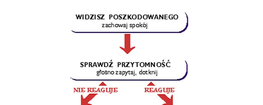 VII. PROCEDURA POSTĘPOWANIA W PRZYPADKU KONIECZNOŚCI UDZIELANIA PIERWSZEJ POMOCY WYCHOWANKOM 16