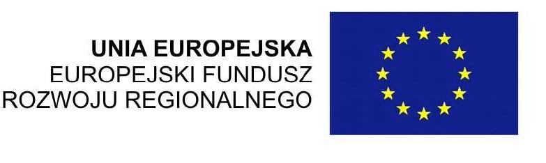 Europejskiej w ramach Regionalnego Programu Operacyjnego dla Województwa Opolskiego na lata 2007-2013 Znak sprawy OR.042.2.2013.MK Opole, dn. 19.07.2013 r.