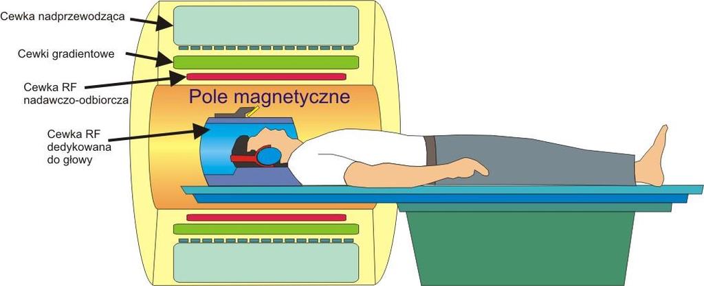 Obrazowanie dyfuzji w rezonansie magnetycznym.