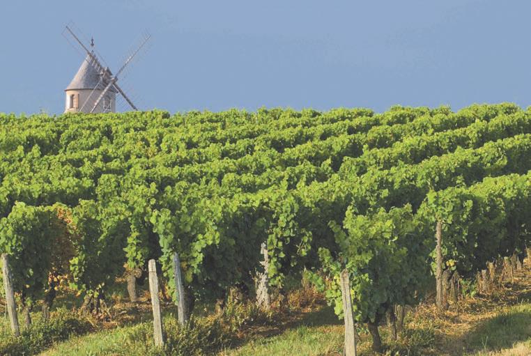 W sercu Słodkiej Francji Zapraszamy do Quercy i Périgord Pierwsze ślady człowieka w Perigord i Quercy To w Perigord i Quercy, Homo Erectus, prawdopodobnie uciekając z północnej i wschodniej Europy