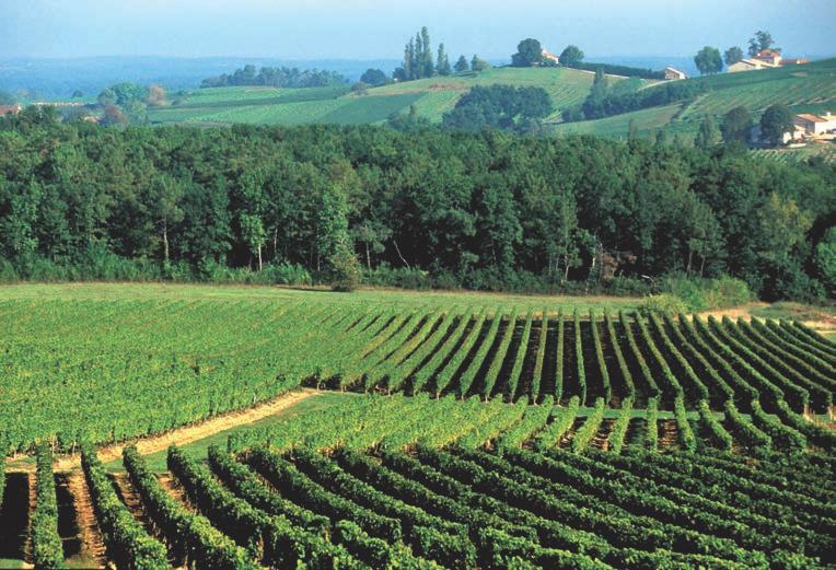 Quercy Quercy jest najbardziej zróżnicowanym regionem.