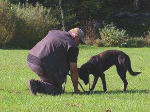 Po czasach rzymskich trufle zniknely z receptur. Wracaja do lask w okresie Renesansu (po wizycie papieskiej w Avignion) stajac sie synonimem krolewskiego dania.