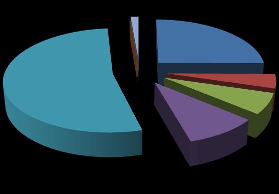 23,7% 34,6% 16,6% 13,1% 9,6% I kw. 2015 I kw.