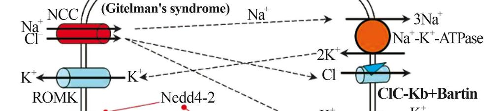 Koulouridis E et al.