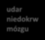 zaburzenia rytmu serca PM2,5 PM10 NO2 SO2 O3 CO PM2,5 PM10 udar niedokrw mózgu PM2,5 o 5ug/m3- wzrost ryzyka o 19%