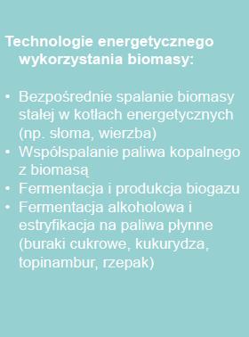 Kierunki wykorzystania biomasy BIOMASA SPALANIE ZGAZOWANIE FERMENTACJA METANOWA PIROLIZA UPŁYNNIANIENIE GORĄCE SPALINY