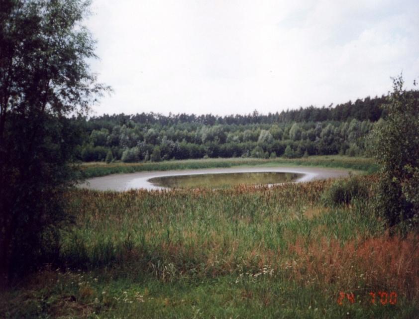 Zmniejszanie się zasobów wodnych w środowisku naturalnym zagrażające jego bioróżnorodności W