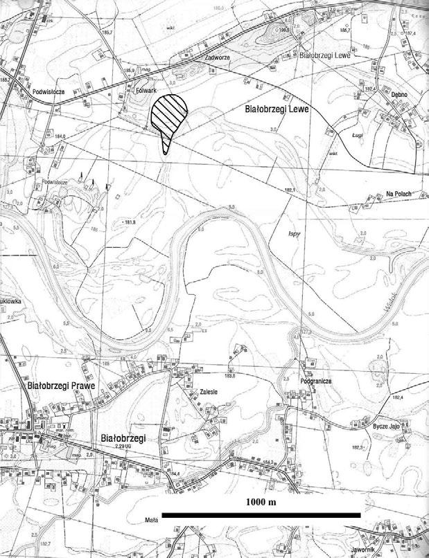 Ryc. 1. Białobrzegi, pow. Łańcut, stan. 8. Lokalizacja stanowiska Abb. 1. Białobrzegi, Kreis Łańcut, Fst. 8. Lokalisierung der Fundstelle fragmenty talerzy-placków (tabl.