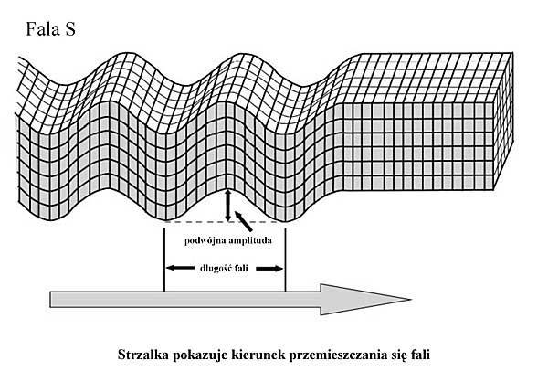 Prędkość ich propagacji jest mniejsza niż fal podłużnych, dlatego są nazywane secondary waves lub po prostu fale S". Fale powierzchniowe (ang.