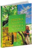 Autor, badając różne kultury, zauważył, że dziewięć roślin było od wieków opisywanych jako lecznicze. I to niezależnie, czy mówimy o Czejenach, czy o pierwszych Słowianach.