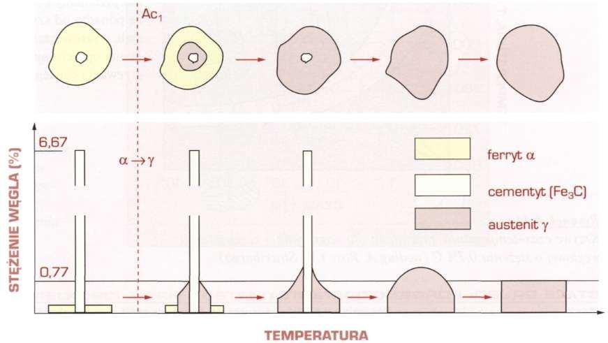 Przemiany w stali podczas nagrzewania Tworzenie się austenitu podczas nagrzewania Nagrzewanie stali do temperatury zapewniającej wystąpienie struktury austenitu jest zabiegiem stosowanym w większości