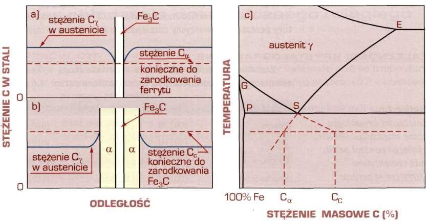 wyekstrapolowane równowagowe stężenia węgla w przechłodzonym austenicie z ferrytem C a i cementytem C c Rysunek 9.