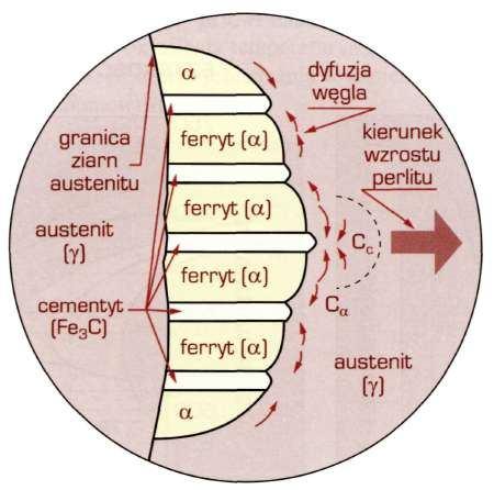 przemiany perlitycznej w ziarnach przechłodzonego austenitu, c) wzrost kolonii perlitu Utworzone kolonie perlitu mają kształt kulisty,