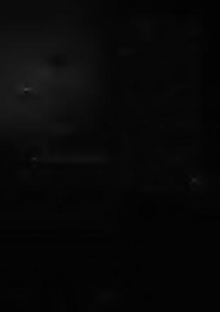 Orbity komet Enckego i Rudnickiego, planetoidy 5025 P-L oraz wybranych strumieni meteorów z kompleksu Tauiydów na tle orbit Ziemi, Marsa i Jowisza.