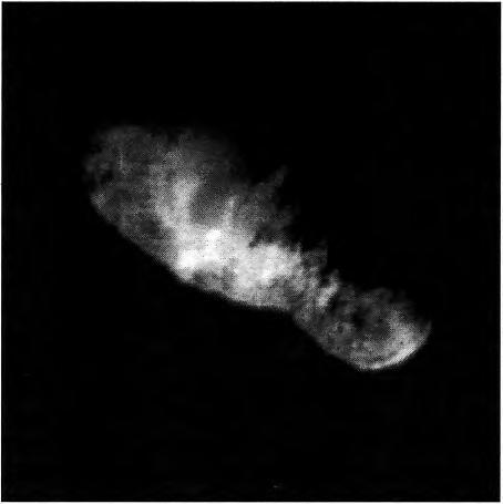 Ogólnie w budowie komet można wyróżnić jądro, komę, chmurę wodorową oraz dwa główne warkocze (pyłowy i gazowy).