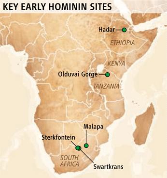 Kolebka ludzkości Australopithecus afarensis (Lucy) najstarsze ślady Homo (szczęka ~ 2,3 mln