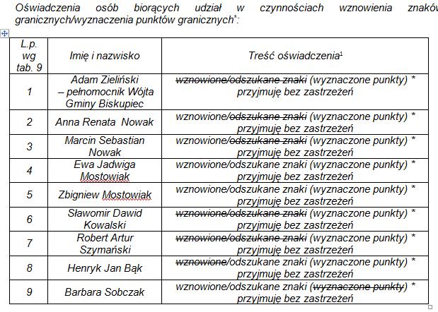 WZNAWIANIE ZNAKÓW GRANICZNYCH /