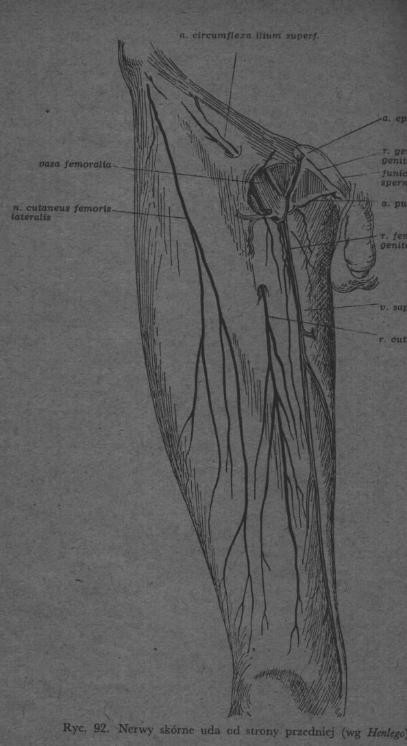Zespół nerwu skórnego bocznego uda Meralgia paresthetica, zespół Rotha Ból i parestezje, niedoczulica bocznej części powierzchni uda na skutek ucisku