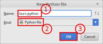 Wybierz unikalną nazwę w kontekście wybranego katalogu, 2. Upewnij się że Kind jest ustawiony jako Python File, 3. Zatwierdź utworzenie pliku.