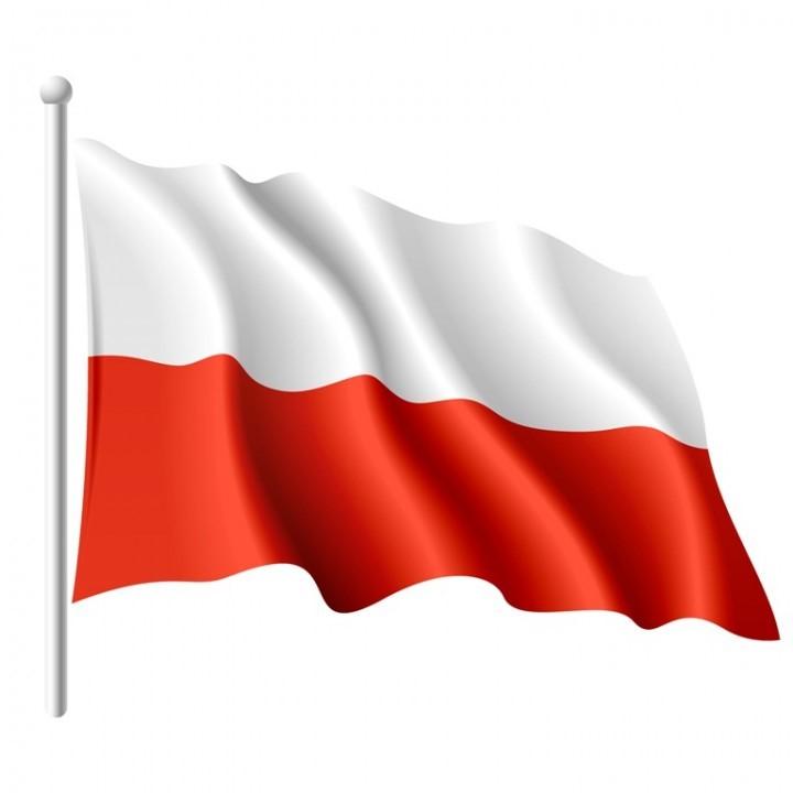 Państwowej Rzeczypospolitej Polskiej Dzień Flagi Polskiej jest jednym z najmłodszych świąt państwowych, ustanowiono je uchwałą Sejmu w 2004 r.