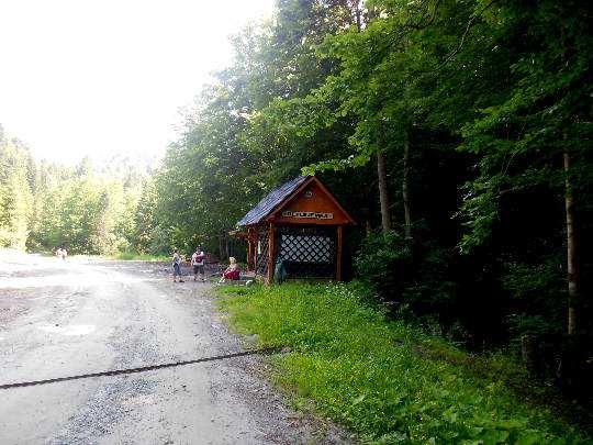 UROCZYSKO SZCZAWNIK (drzewostan jodłowo bukowy) - pomnikiem ustanowiono dobrze zachowany fragment dawnej puszczy karpackiej o pow. 8,24 ha.