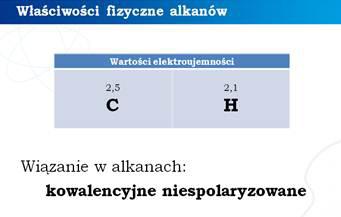 temat skutków wycieku ropy z