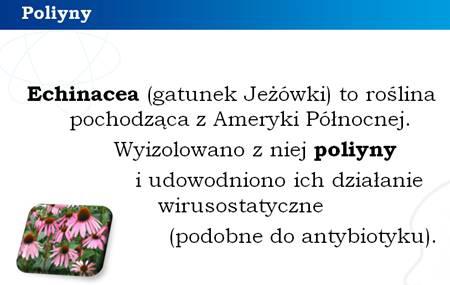 Poliyny w życiu codziennym.