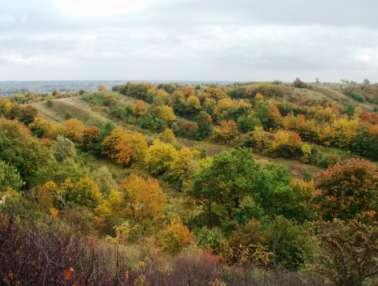 8.2.5. Zespoły przyrodniczo-krajobrazowe, o łącznej powierzchni 454,82 ha 1.