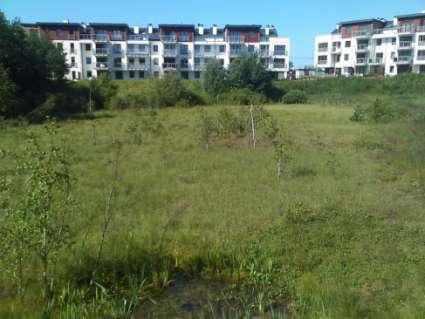 7. Migowska Bielawa użytek ekologiczny położony w rejonie ulicy Myśliwskiej, obejmuje torfowisko mszarne, o powierzchni około 0,5 ha.