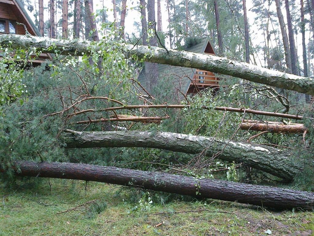 ZNISZCZENIA W AOS CZERNICA PO PRZEJŚCIU FRONTU BURZOWEGO W DNIU 11 SIERPNIA 2017 ROKU ANALIZA ZJAWISKA Opracowanie i zdjęcia: Czesław Dyrcz Gwałtowne zjawiska hydrometeorologiczne takie jak: