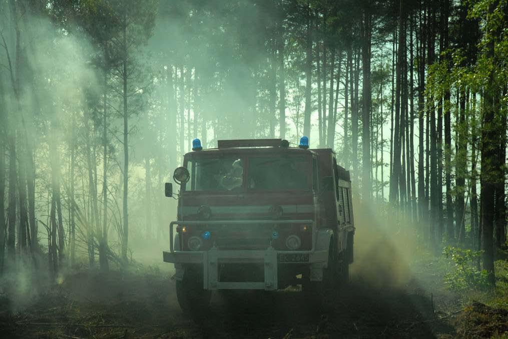 Krajowy System Informacji o Pożarach Lasu National Forest Fire Information System Dane szczegółowe są udostępniane w różnym zakresie, w zależności od uprawnień zalogowanego użytkownika.