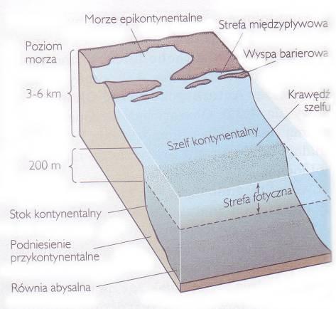 Środowiska wodne