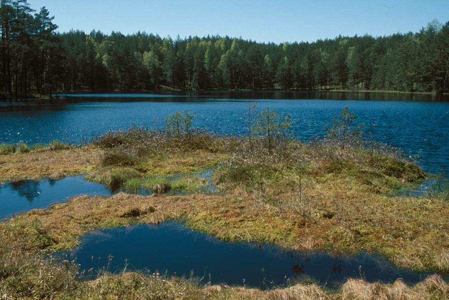 Specyfika współczesnej ochrony przyrody Dotyczy wybranych cennych obszarów, obiektów i gatunków na terenie całego kraju Kładzie akcent na ochronę konserwatorską, zachowawczą