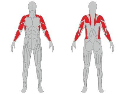 Informacje techniczne o urządzeniu fitness: Nazwa urządzenia: Koła tai-chi małe i koło duże na pylonie Numer katalogowy: FL9 Zgodność z normami: PN-EN 16630:2015 Certyfikat: Na zgodność z norma PN-EN