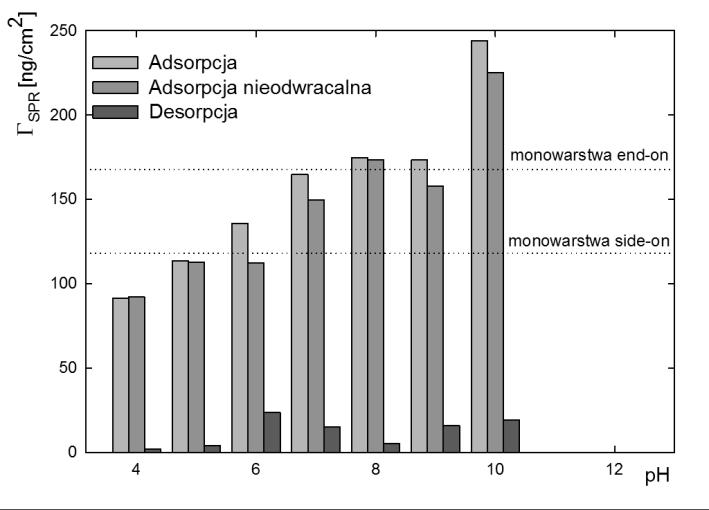 Monika Ćwięka Ryc. 10. Ilość zaadsorbowanego LSZ na powierzchni Au metodą MP-SPR Źródło: Opracowanie własne.